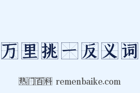 万里挑一反义词是什么意思的图片
